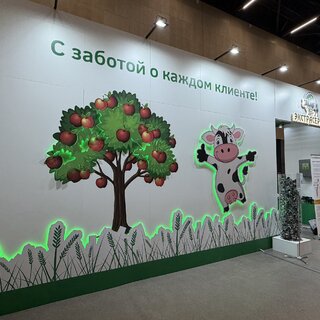контражур